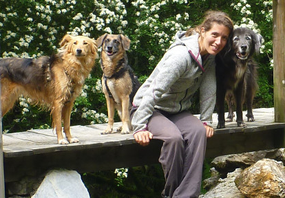 Hundeelltern - Nima Ashoff - Hundum glücklich statt tierisch gestresst